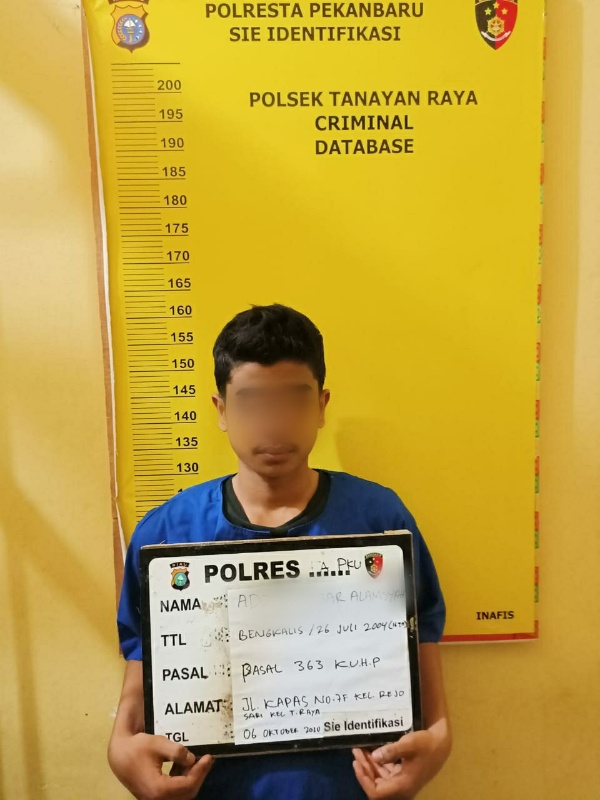 Diduga Curi Hp, Ajin Diciduk Diciduk Reskrim Polsek Tenayan Raya