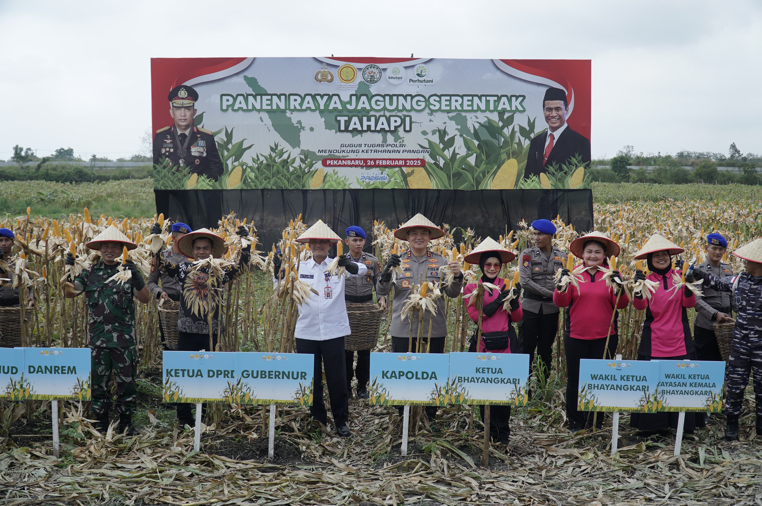 Panen Raya Jagung Pipil di Kualu Nenas, Irjen Pol M Iqbal: Total yang Kita Panen 156,64 Ton