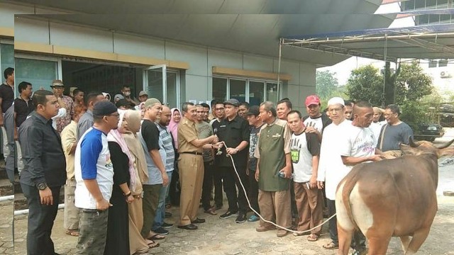 Minggu, PWI Riau dan PWI Pokja Pekanbaru Sembelih 4 Ekor Sapi dan 5 Ekor Kambing