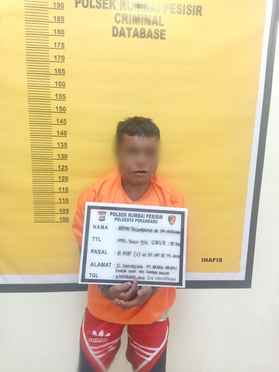 Cabuli Putri kandungnya Hingga Hamil, AT Ditangkap Tim Opsnal Polsek Rumpes