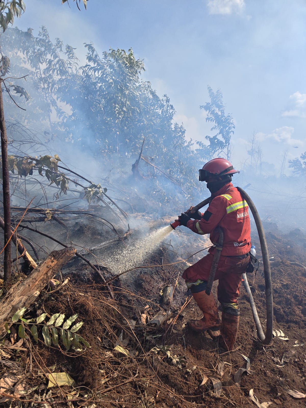 Operasi Gabungan Kendalikan Tiga Titik Api di Pulau Rupat dan Rohil